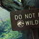 Watch out for hungry dinos at Big Rock.
